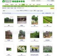 專業(yè)企業(yè)網(wǎng)頁(yè)設(shè)計(jì)與維護(hù)服務(wù) 構(gòu)建數(shù)字化形象，驅(qū)動(dòng)業(yè)務(wù)增長(zhǎng)